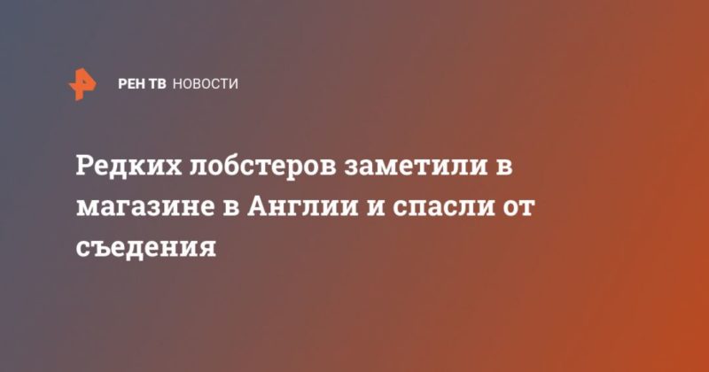 Редких лобстеров заметили в магазине в Англии и спасли от съедения 28052021 Общество: Редких лобстеров заметили в магазине в Англии и спасли от съедения