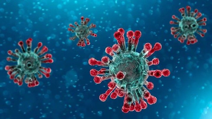 Общество: В Британии доказали искусственное происхождение коронавируса