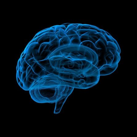 Общество: Ученые из Великобритании сообщили о простом способе определить нарушения в мозгу и нервной системе и мира