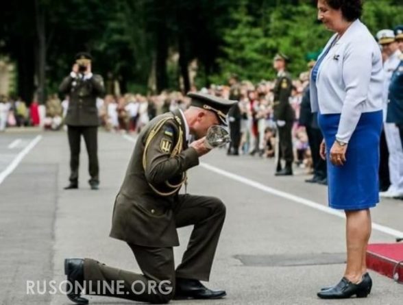 Общество: «Какое позорище»: Офицер ВСУ встал на колени перед послицей Великобритании