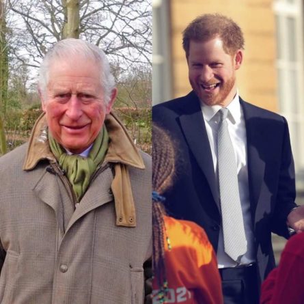 Общество: Принц Чарльз решил проигнорировать прибытие принца Гарри в Лондон