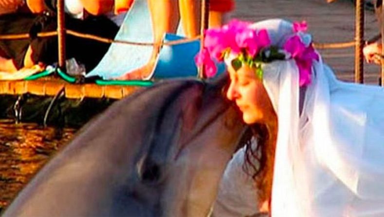 Общество: В Великобритании женщина скорбит после смерти своего мужа-дельфина