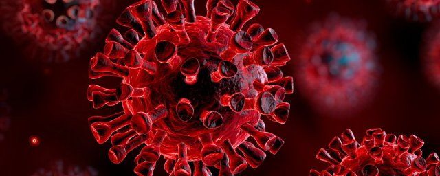 Общество: В Великобритании нашли план по борьбе с коронавирусом, разработанный в 2005 году