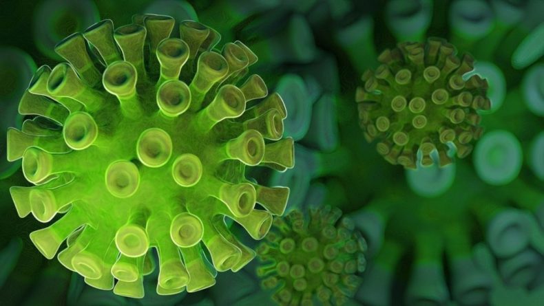 Общество: В Великобритании обнаружили план по борьбе с коронавирусом 16-летней давности