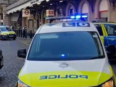 Общество: В Лондоне мужчина с ножом ранил двоих полицейских