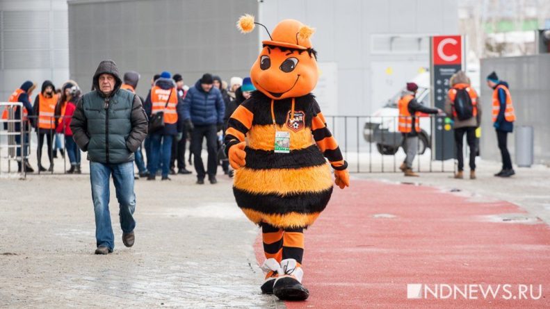 Общество: 13-летняя британка подружилась со шмелем