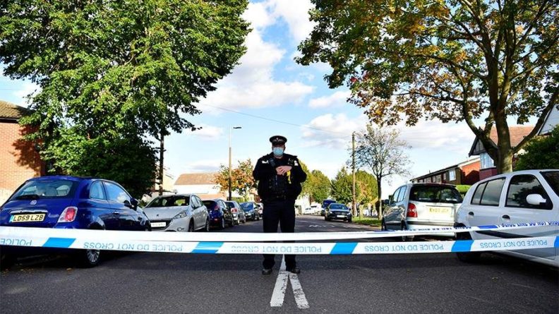 Общество: Полиция задержала напавшего с ножом на депутата в Великобритании