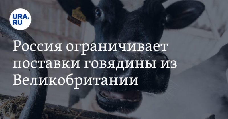 Общество: Россия ограничивает поставки говядины из Великобритании