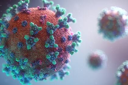 Общество: В Великобритании раскрыли подробности о новом штамме коронавируса