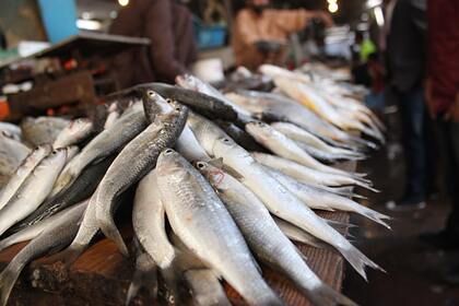 Общество: Франция отказалась от угроз рыбной промышленности Британии