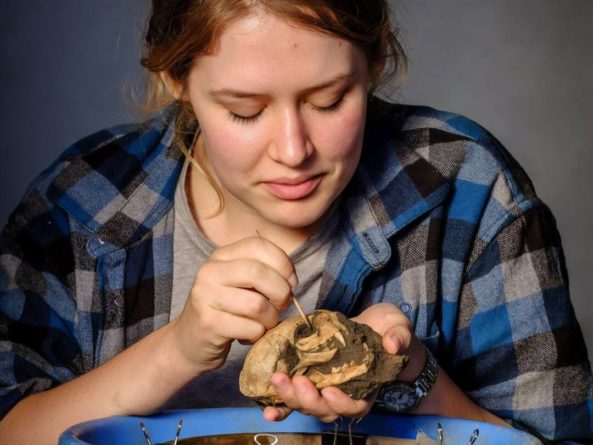 Общество: В Британии археологи нашли карцер для гладиаторов и скелет кота