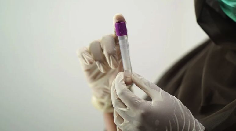 Общество: В Великобритании разработали ПЦР-тест, способный определить штамм коронавируса