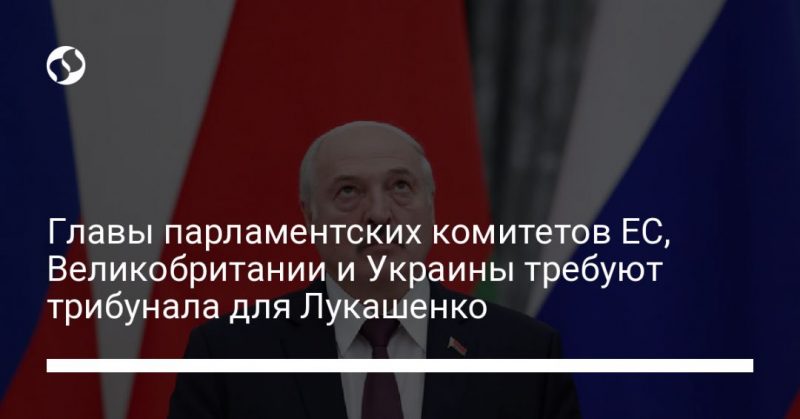 Общество: Главы парламентских комитетов ЕС, Великобритании и Украины требуют трибунала для Лукашенко